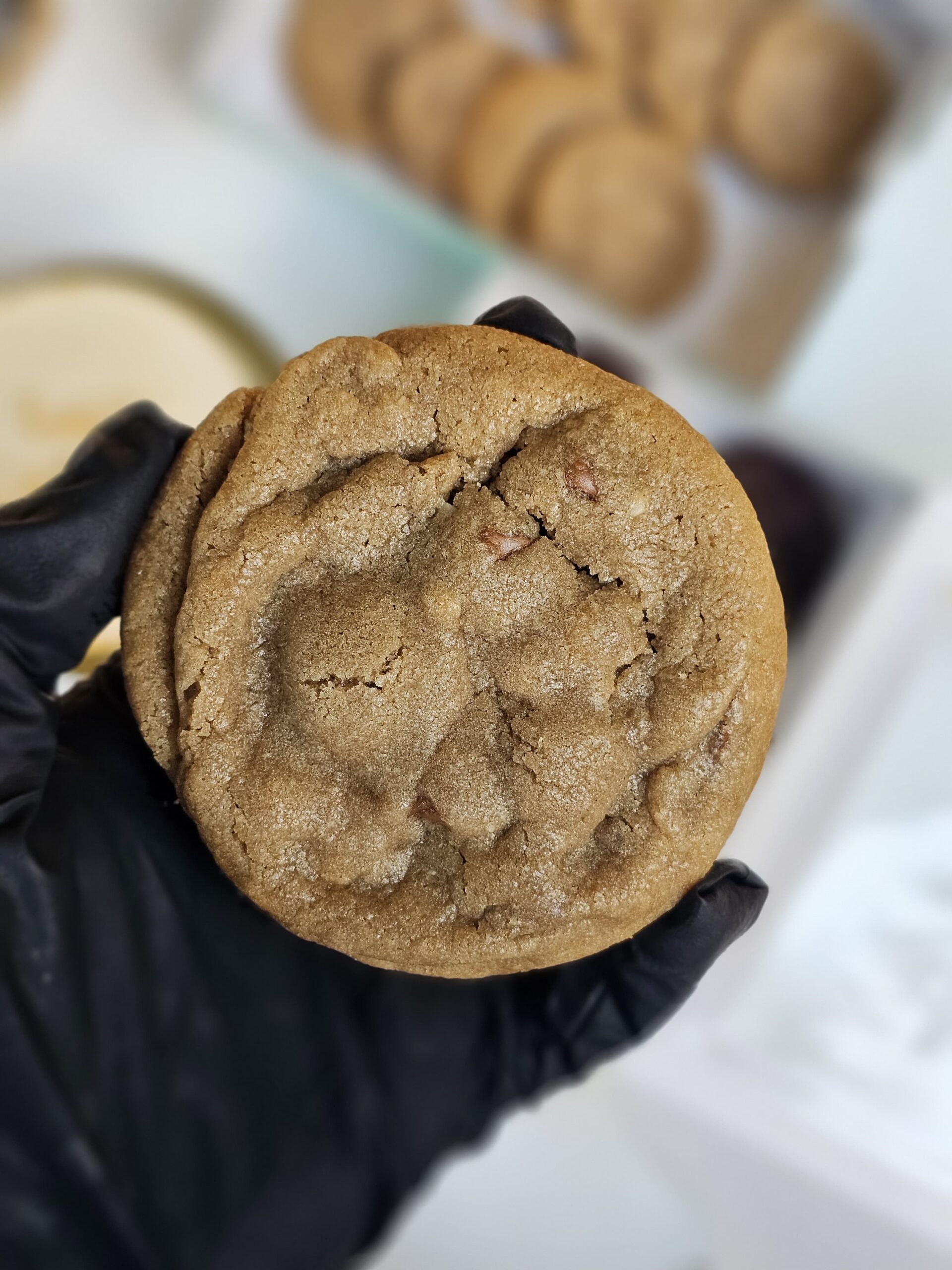 Peanut Butter & Milk Chocolate Cookie